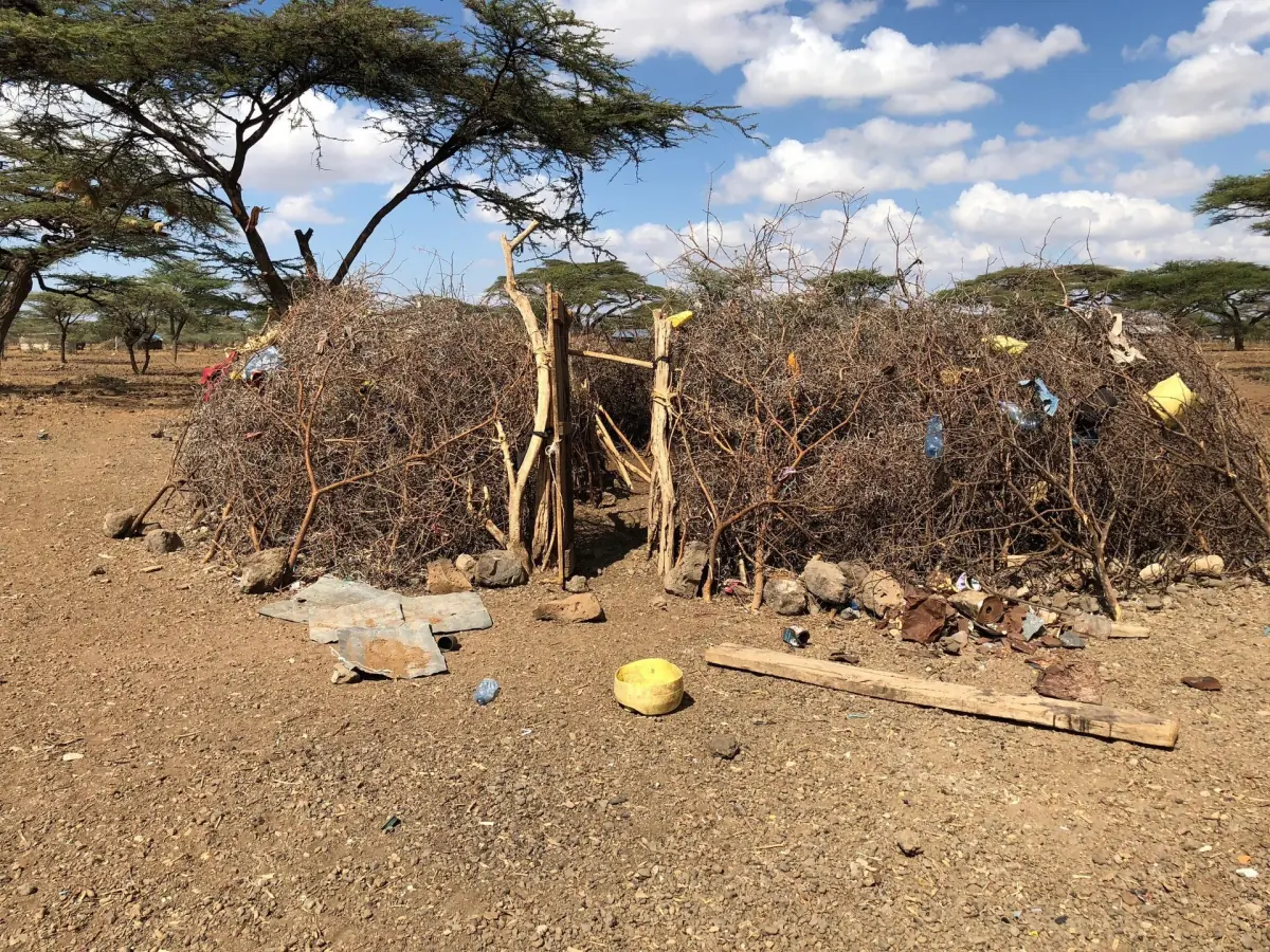Thornbush livestock enclosure called a boma in Isiolo County