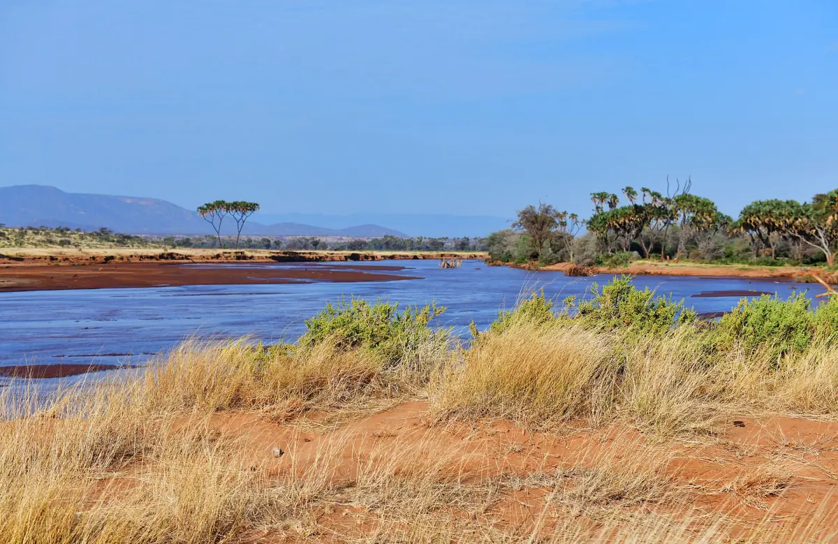 Fluss Ewaso Nyiro mit Grasufer und fernen Hügeln in Samburu