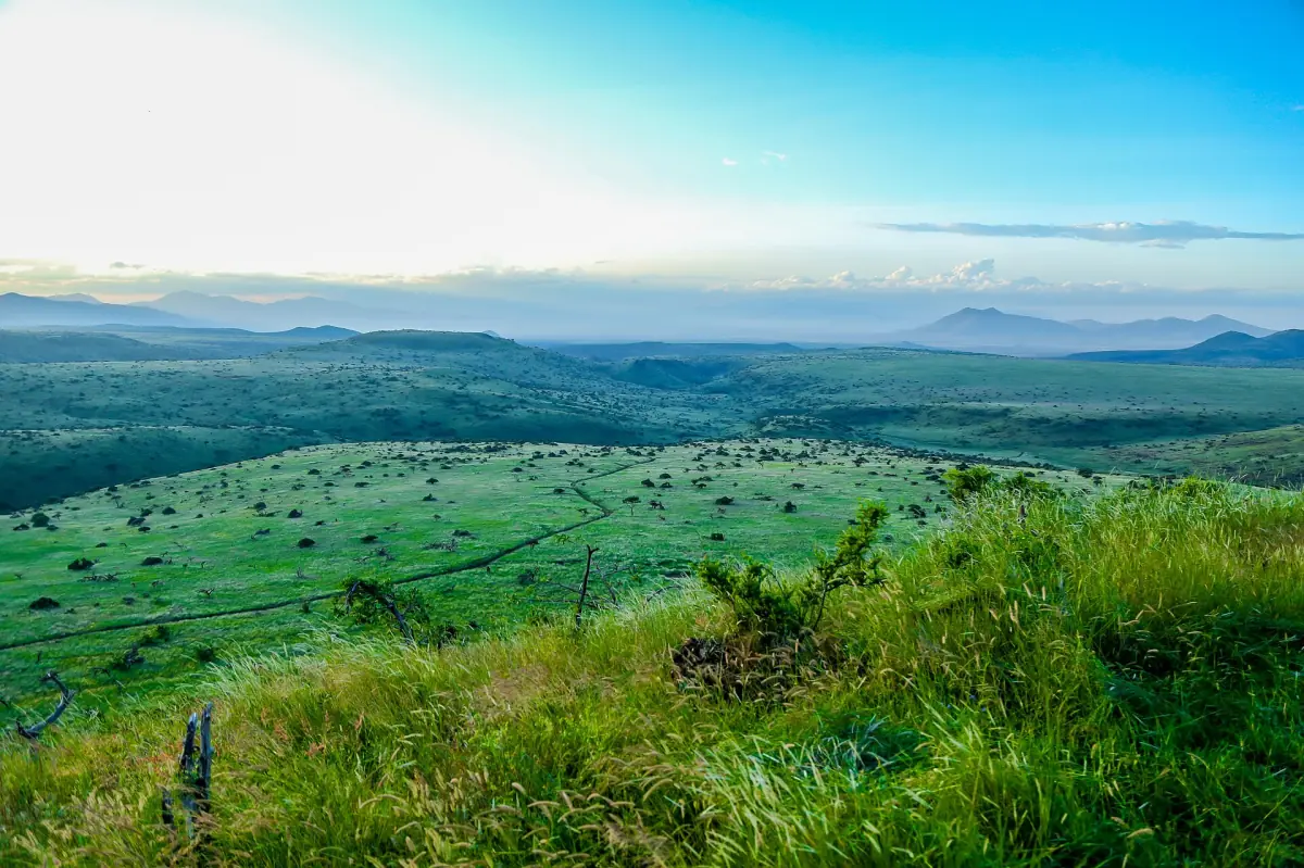 Green plains and distant hills seen from a viewpoint in Lewa Wildlife Conservancy