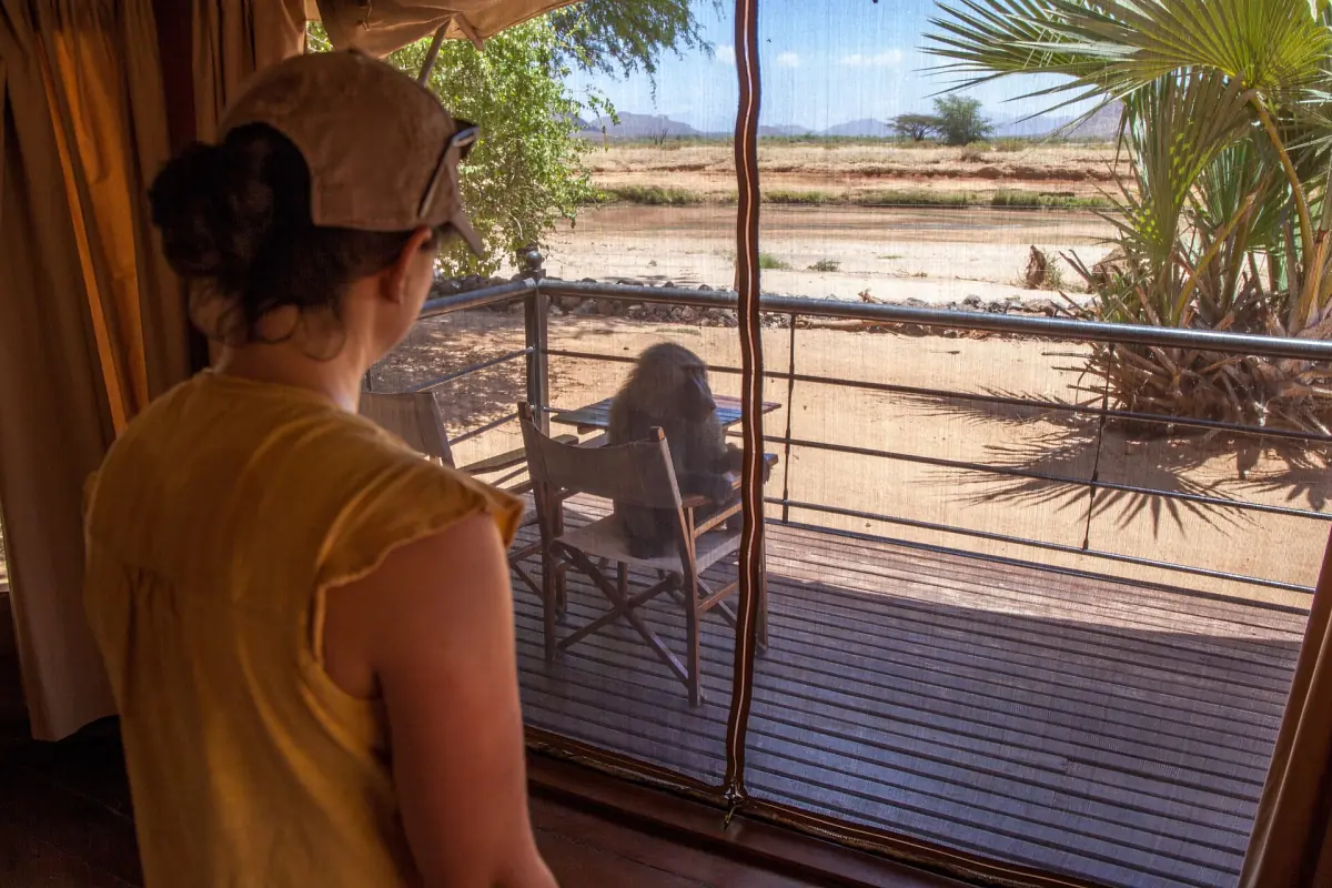 Besucher auf einer Lodge-Veranda mit Blick auf trockenes Buschland und Palmen in Samburu
